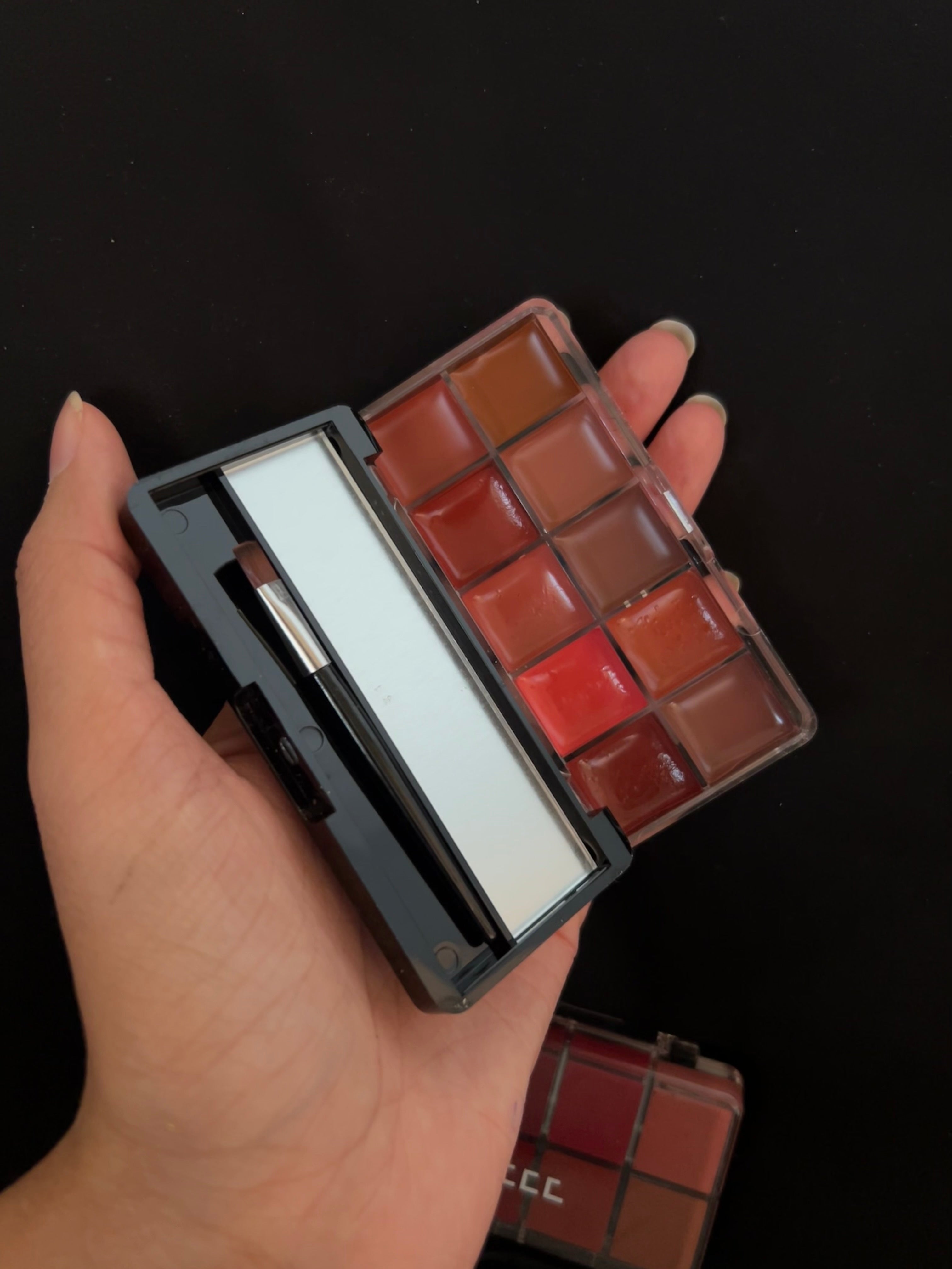 10 colour lipstick and cheek palette