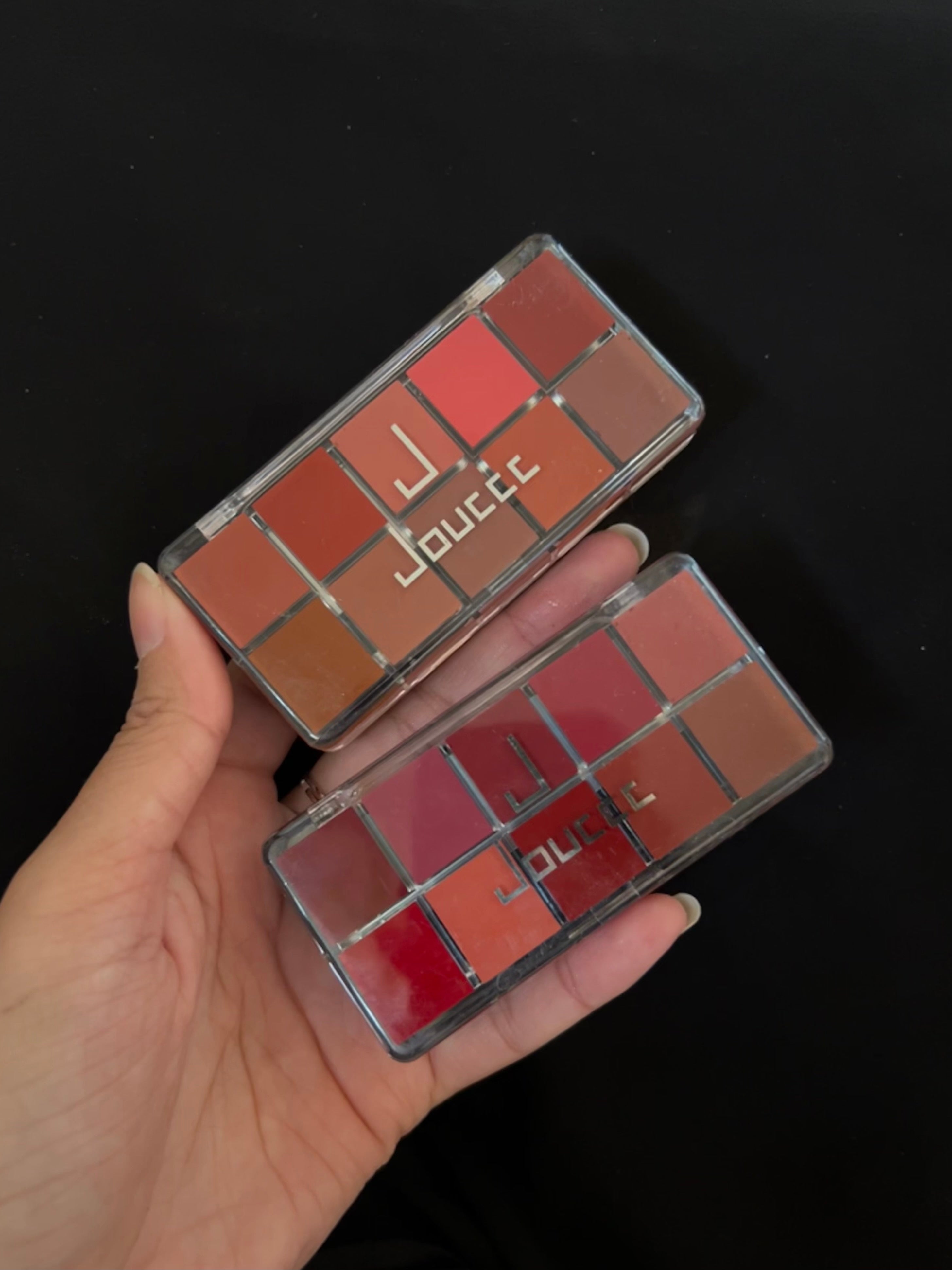 10 colour lipstick and cheek palette